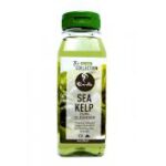 Krullenboek Curls Sea Kelp Cleanser